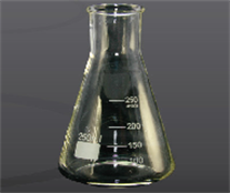 
      Erlenmeyer Flask
    